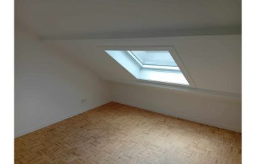 Maison de caractère avec jardin à Caluire-et-Cuire